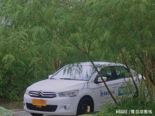 厦门考驾照怎么选择驾校 有什么好的厦门驾校推荐