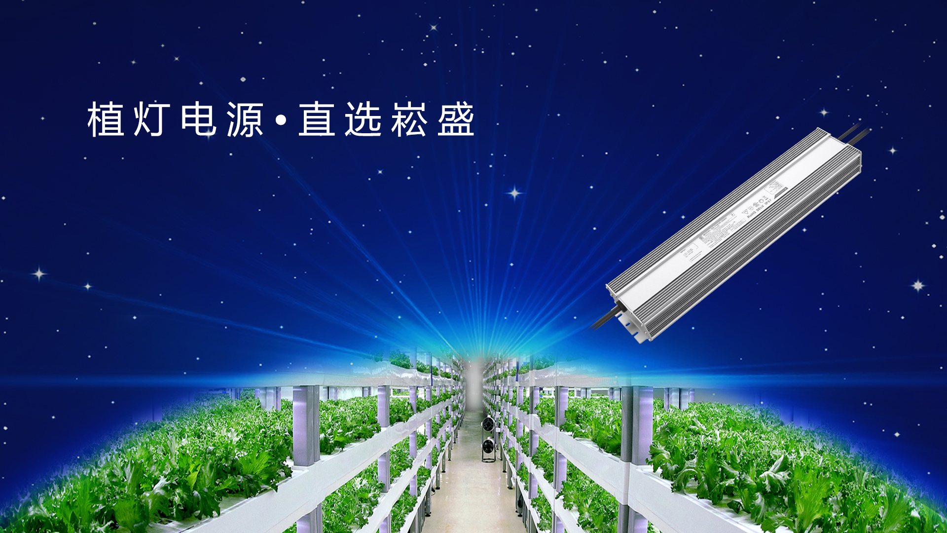 追光而行 ▏做植物照明驱动者，让未来农业绽放无限可能